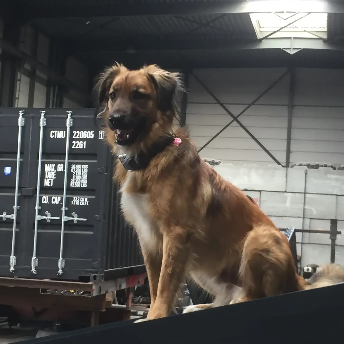 Chief Site Inspector - Afbeelding 3